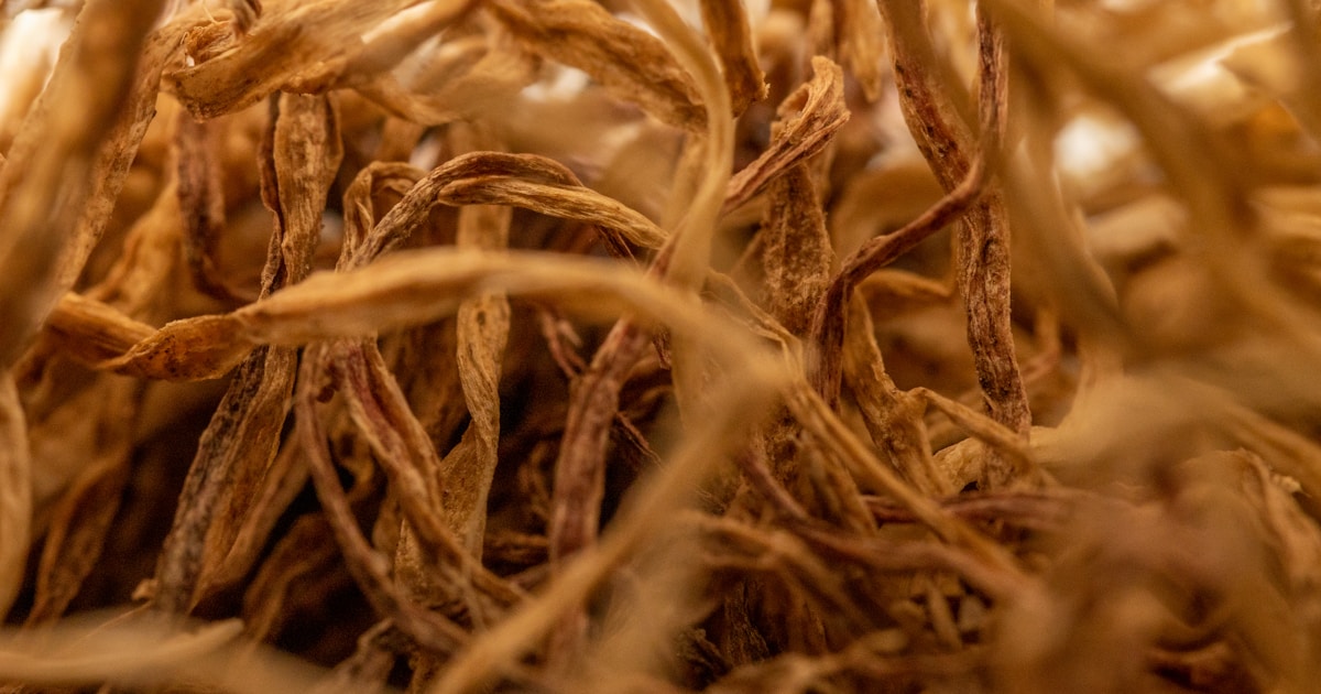 Ginseng root herb suplementos