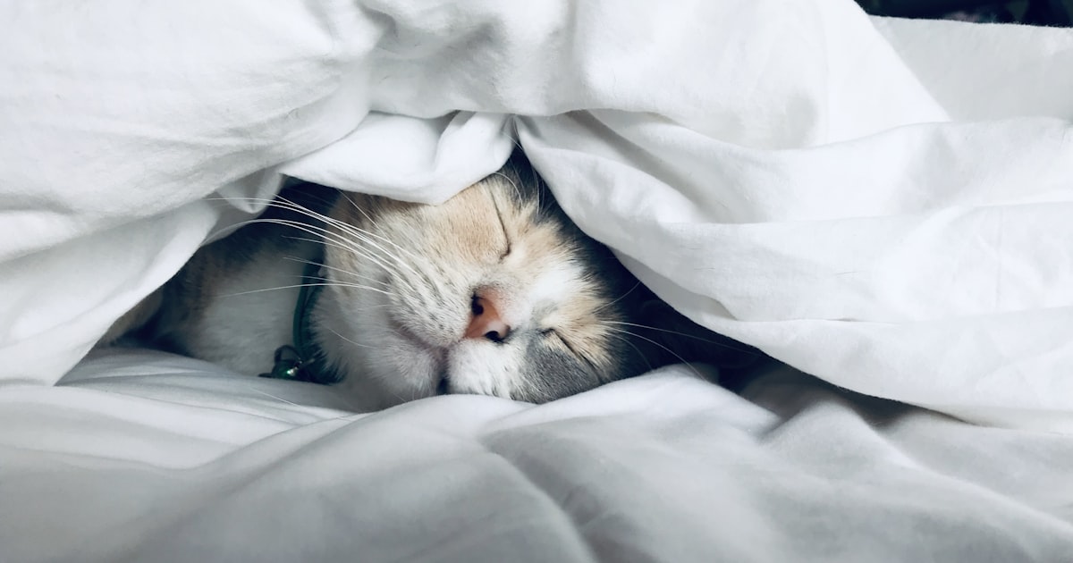 Suplementos de melatonina para dormir mejor